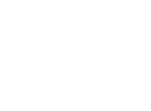 Logo Lorena Carnero transparente en blanco